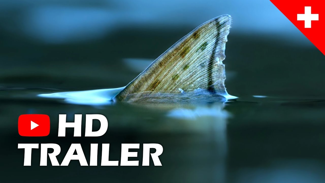 RAINDROP / Kino Trailer (2025)