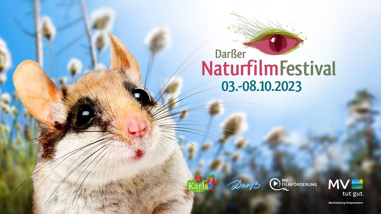 Deutscher NaturfilmPreis 2023 – Darßer NaturfilmFestival // Trailer